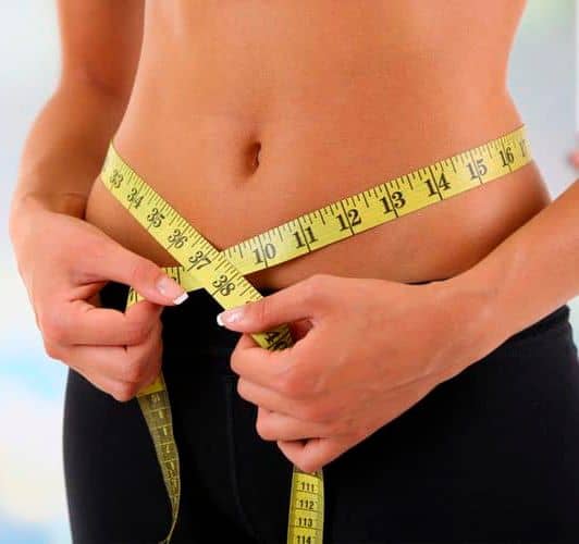 Nutrition-program-to-lose-body-fat